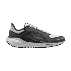 Nike Pegasus 41 GTX - Black/Summit White/Anthracite/Iron Grey
