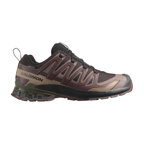 Men's Outdoor Shoes Salomon XA Pro 3D V9 GTX  Black Coffee/Rum Raisin/Olive Night L47583500