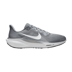 Nike Pegasus 41 - Cool Grey/White/Wolf Grey/Pure Platinum