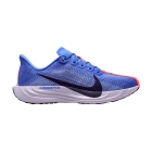 Nike Pegasus Plus - Sapphire/Purple Dynasty/Light Thistle