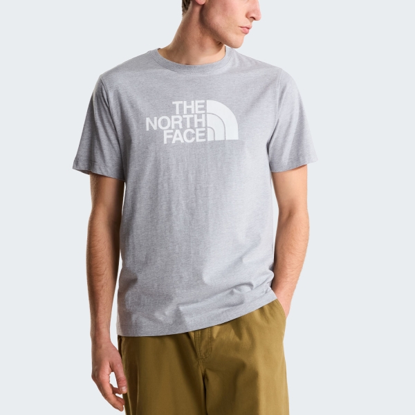 Men's Sportswear T-Shirt and Polo The North Face Evolution Half Dome TShirt  TNF Pale Grey Heather/TNF White NF0A8B6JCU7